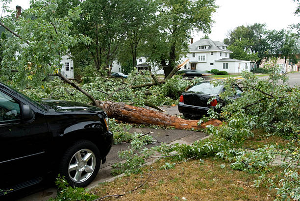 vehicle coverage Damage from Natural Disasters